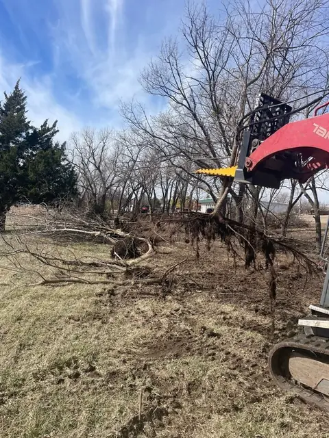 Track loader clearing trees and brush