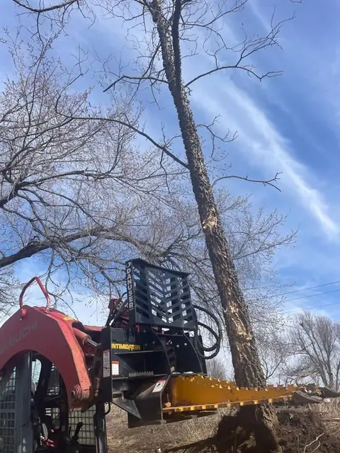 Tree grapple gripping a trunk