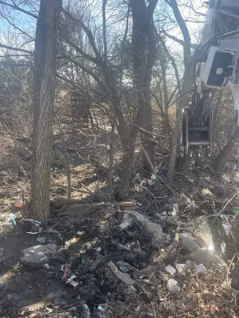 Brush and junk tangled in a tree line before clearing
