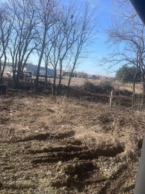 Ground scraped clear among the trees