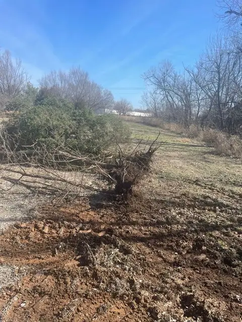 Brush pile and cleared ground
