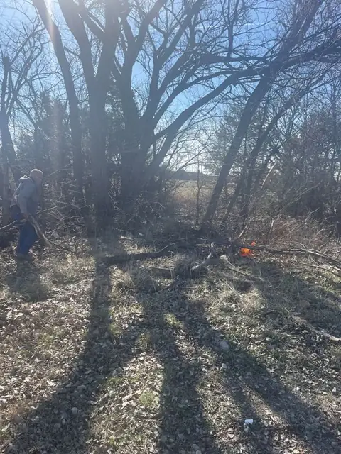 Shaded lot cleared under large trees