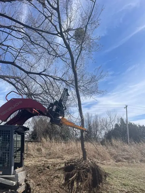 Grapple taking out a tree