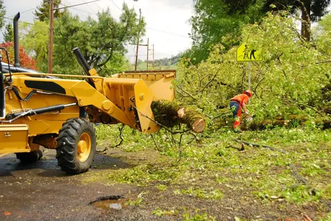 Clearing fallen trees and storm debris