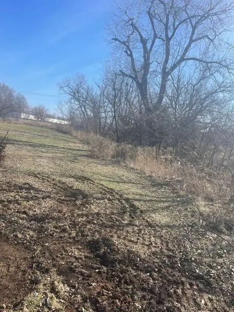 Cleared ground beside a tree line